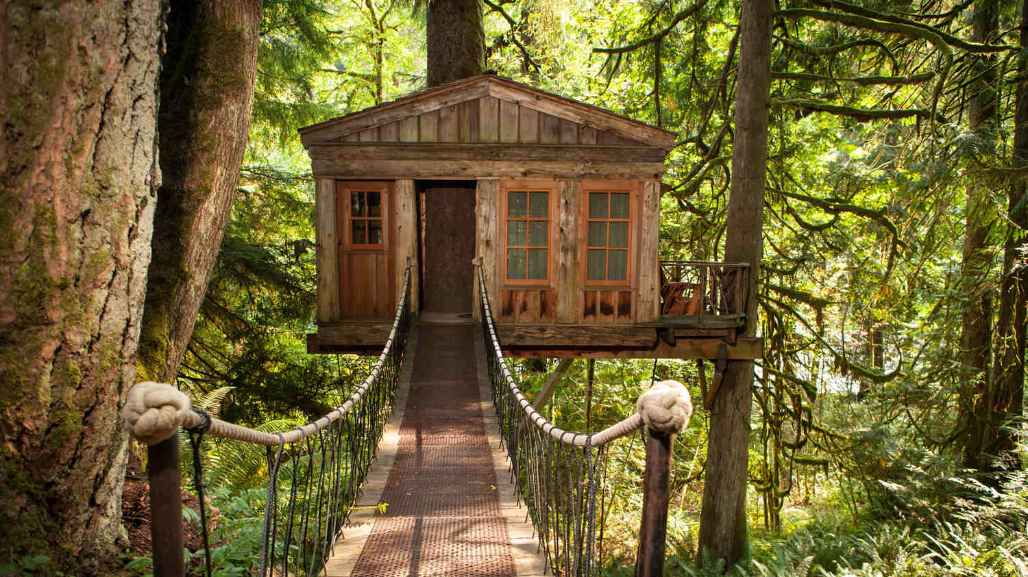 Walkway to remote tree house